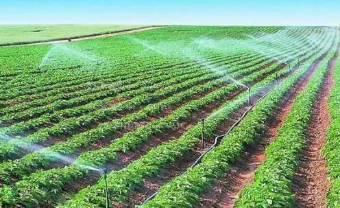男人cha女人的视频农田高 效节水灌溉